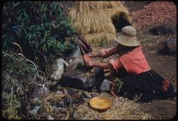Vicosina woman grinding using a stone mortar