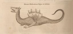 Mundus Subterraneus, 3rd edition: Two-legged, winged, Swiss dragon