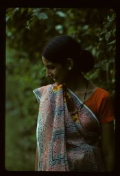 A woman in a sari