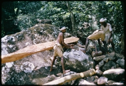 Householders constructing a timber footbridge across the Mimure oya