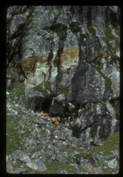 odar agadi basiraheka dui mahilahru (ओडार अगाडी बसिरहेका दुई महिलाहरु / Two Women Sitting in Front of a Cave)