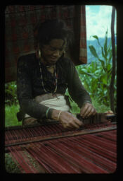 Tikari (Urshyang) Tamang renja thara naduppa gardai (तिकिरी (ऊर्स्ह्यङ) तामांङले रेन्ज थारा नदुप्प गर्दै / Tikari (Urshyang) Tamang weaving the Ghya (cloth) in a loom)