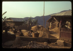 mahilaharu kodoko bhus nifandai (महिलाहरु कोदोको भुस निकाल्दै / Women Separating Millet Grains From Chaffs)