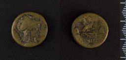 Bronze Coin (Mint: Apameia)