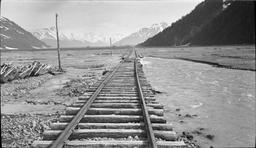 Alaska Northern track on outwash gravel plain