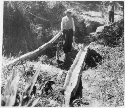 Wooden irrigation tube