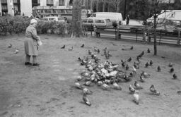 Women feeding pigeons, Gramercy Park