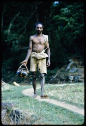 Householder carrying sap from a kitul palm