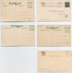 Theodore Roosevelt Postcards