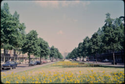 Minervalaan boulevard with a landscaped park (Amsterdam, NL)
