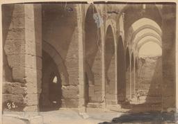 Haynes in Anatolia, 1884 and 1887: Sultan Han  