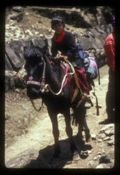Ghoda chadi raheko Balika (घोडा चढिरहेको बालिका / A Girl Riding a Horse)