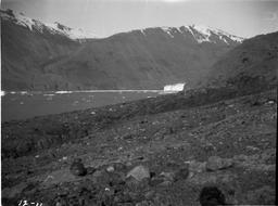 Nunatak Glacier from tail of Nunatak. Exact site of Gilbert's