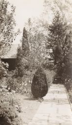 Garden of Eugene Dupont, first week of May 1935
