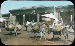 Several pack animals carry many goods in front of a gated entranceway in a town