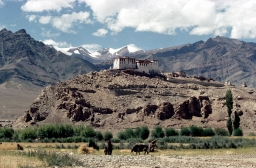 Stakna Monastery