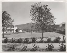 Garden court in Baldwin Hills Village.