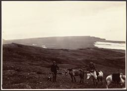 Búðahraun, S.E. From Snæfellsjökull, from the pass 