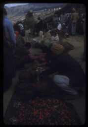 manisharu tarkari kinbech gardai (मानिसहरु तरकारी  किनबेच गर्दै / People Buying and Selling Vegetables)