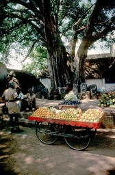 People Loitering Around Fruit Cart