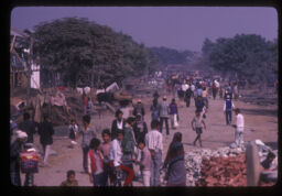 Chitwanma manisharu ko hul (चितवन मा मानिसहरुको हुल / Crowds of People in Chitwan)