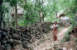 Main north-south village path