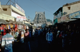 Padmavati Temple