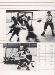 Women's Ice Hockey 1981