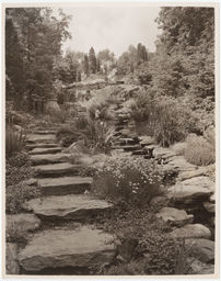 Bulkley "Rippowam" garden, looking up steps by artificial creek