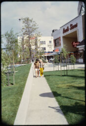Landscaped area of pedestrian mall (Waterfront Area, Sacramento, California, USA)