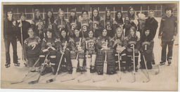 Cornell women's hockey team