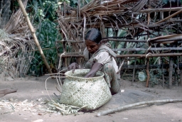 Householder weaving baskets from rush