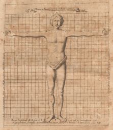 Arca Noe?: Human proportions in the Ark