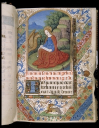 [Saint John on Patmos] (from a Book of Hours)