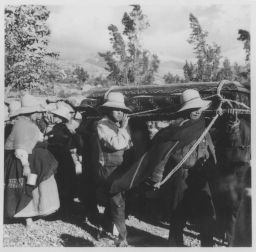 Vicosinos carrying casket,  Festival of Virgin de las Mercedes