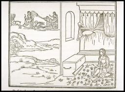 [Polia sees the chariots of Diana and of Cupid and Venus from her bedchamber] (from Hypnerotomachia Poliphili)
