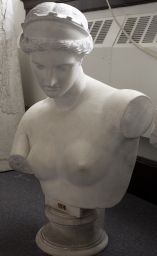 Bust of Aphrodite of Capua