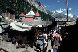 Gangotri Village