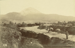 Mount Popocatepetl seen from near Amecameca 