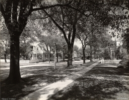 Francis Street, Colonial Williamsburg 