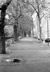 Sidewalk, Central Park