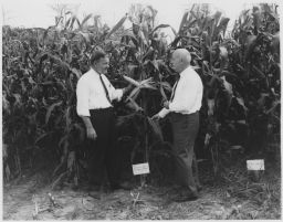 Royse Murphy in front of corn plant