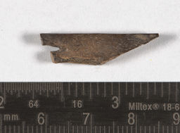 Bone comb fragment