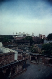 Agra Fort Moti Masjid