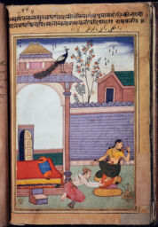 Set 8: Provincial Mughal, Ramkari