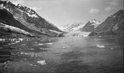 Rendu Glacier from fiord