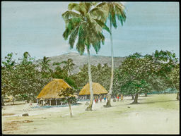 View of thatch buildings, probably in Samoa