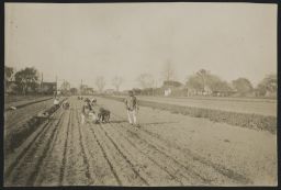 Man farming, Hampton Institute, VA