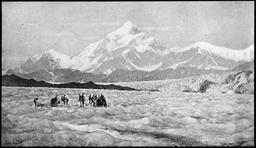 Mt. St. Elias Alpine Vol. 19