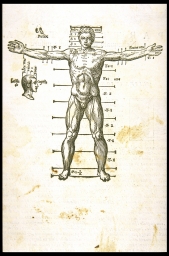 Misuratione del corpo humano [Proportions of the human body] (from Barbaro, Perspective)
